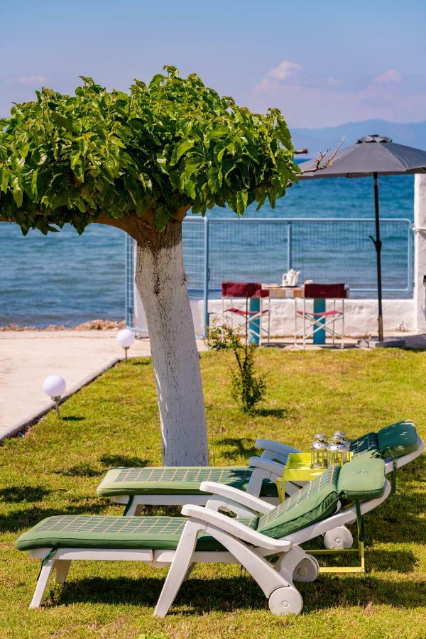 Kiko, The Coastline House Villa Като Ахая Екстериор снимка